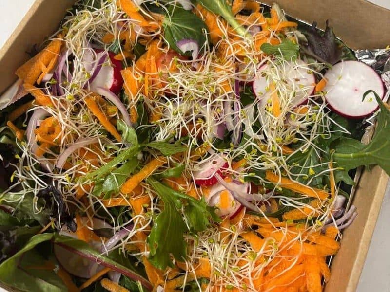 Fresh garden salad with carrot, radish and sprouts